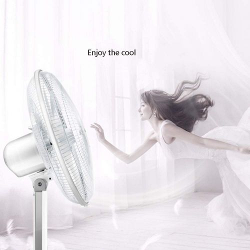  ANSIO FAN LYFS Pedestal Home Floor Can Be Rotated 3 Speed Setting Energy Efficient Remote Ultra-Quiet Vertical Air Circulation Timing 16-Inch White