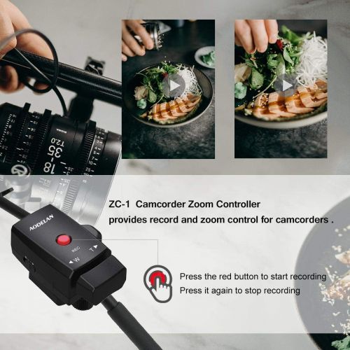  AODELAN Lanc Camcorder Zoom Controller with 2.5mm Jack Cable for Sony NX3C NX5C 198P 190P 150P Canon XL1S XL2 XM1 XM2 Panasonic DVC63 DVC33