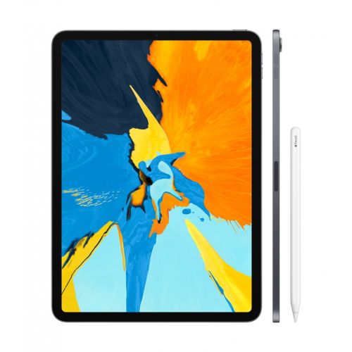 애플 Apple 11-inch iPad Pro (2018) - 1TB - WiFi - Space Gray