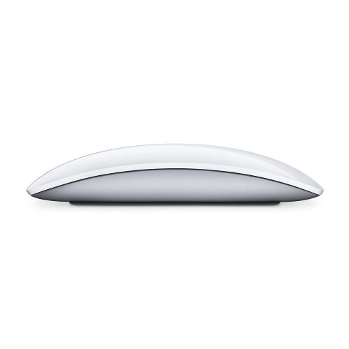 애플 Apple Magic Mouse 2