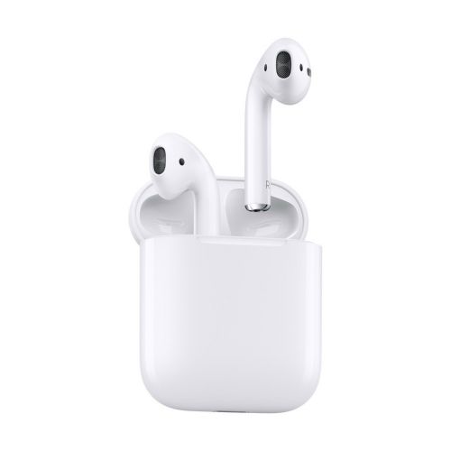 애플 Apple AirPods with Charging Case (Previous Model)