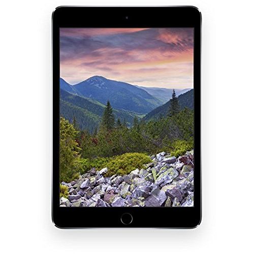 애플 Apple iPad Pro 10.5-inch (64GB, Wi-Fi + Cellular, Space Gray) 2017 Model