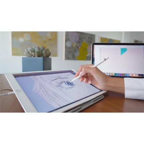 애플 Apple iPad Pro 12.9-inch 512GB Silver 2nd Generation Apple Pencil Bundle (Wi-Fi Only, Mid 2017) Newest Version