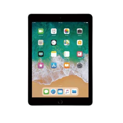 애플 Apple 9.7 IPad (2018 6Th Gen) with Wi-Fi Only Space Gray 128GB