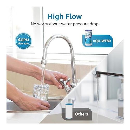  AQUACREST FXHSC Whole House Water Filter, Replacement for GE® FXHSC, GXWH40L, GXWH35F, American Plumber W50PEHD, W10-PR, Culligan® R50-BBSA, 5 Micron, 10