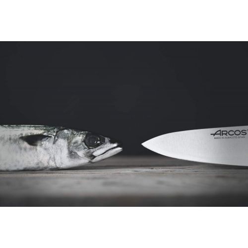  ARCOS Arcos 12-Inch 310 mm 500 gm 2900 Range Cleaver, Black