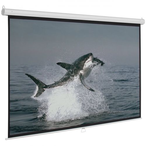  ARKSEN 120 Manual Pull Down Auto-Lock Projector Projection Screen White 96x72 HD Moive 4:3