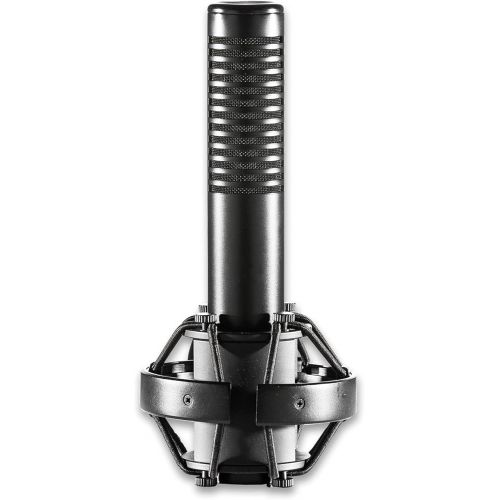  [아마존베스트]ART AR5 ACTIVE RIBBON MICROPHONE