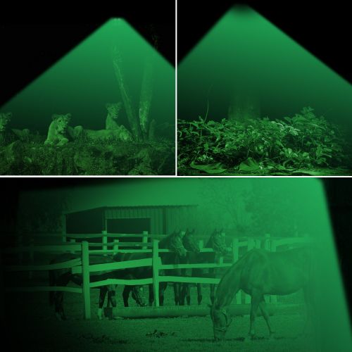  ARTITAN Feeder Light Hog Hunting Green Light Motion Sensor Spotlight Security Lights IP65 Waterproof for Outdoor Animal Game Feeder Cage