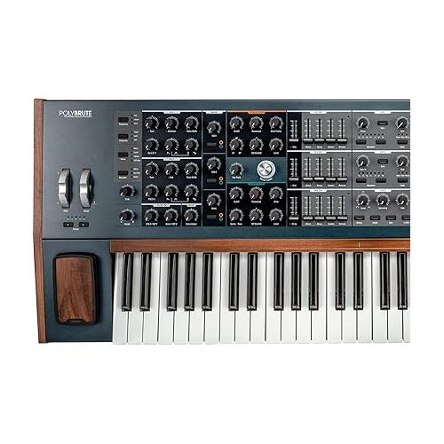  Arturia PolyBrute 6-Voice Polyphonic Morphing Analog Synthesizer Natural Wood