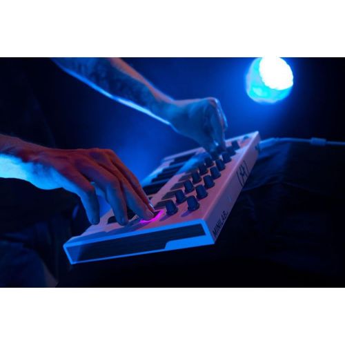  [아마존베스트]Arturia MINILAB mkII universal MIDI Controller