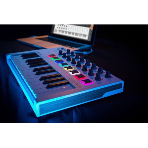  [아마존베스트]Arturia MINILAB mkII universal MIDI Controller