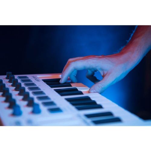  [아마존베스트]Arturia MINILAB mkII universal MIDI Controller