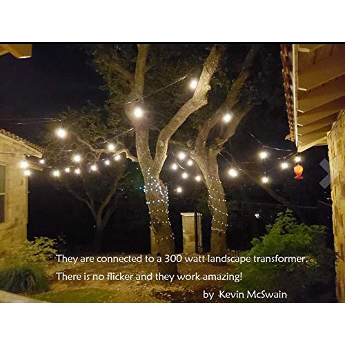  ASHIA LIGHT Ashialight 12 Volt Outdoor String Lights with Transformer and US Plug - Low Voltage, 48 Ft, 4W15pcs Edison 12 Volt LED Bulb,Weatherproof, Commercial Grade Bistro/Cafe Lights for Pa