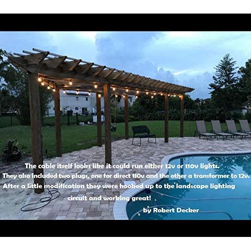  ASHIA LIGHT Ashialight 12 Volt Outdoor String Lights with Transformer and US Plug - Low Voltage, 48 Ft, 4W15pcs Edison 12 Volt LED Bulb,Weatherproof, Commercial Grade Bistro/Cafe Lights for Pa