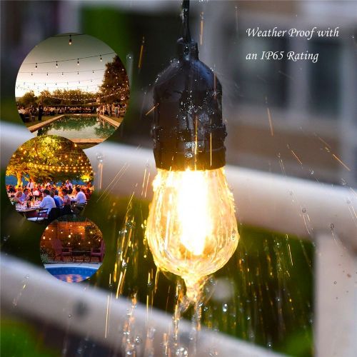  ASHIA LIGHT Ashialight 12 Volt Outdoor String Lights with Transformer and US Plug - Low Voltage, 48 Ft, 4W15pcs Edison 12 Volt LED Bulb,Weatherproof, Commercial Grade Bistro/Cafe Lights for Pa