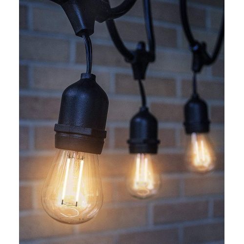  ASHIA LIGHT Ashialight 12 Volt Outdoor String Lights with Transformer and US Plug - Low Voltage, 48 Ft, 4W15pcs Edison 12 Volt LED Bulb,Weatherproof, Commercial Grade Bistro/Cafe Lights for Pa