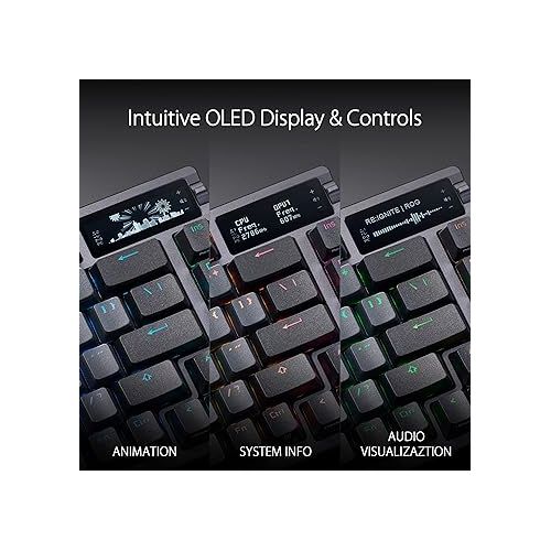 아수스 ASUS ROG Azoth 75% Wireless DIY Custom Gaming Keyboard, OLED Display, Gasket-Mount, Three-Layer Dampening, Hot-Swappable Pre-lubed NX Brown Switches & Keyboard Stabilizers, ABS Keycaps, RGB-Black