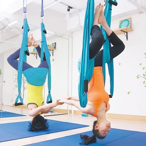  AUM Yoga Swing Inversion Sling