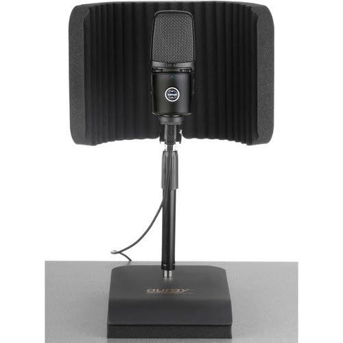  Auray RFDT-128 Desktop Reflection Filter and Mic Stand