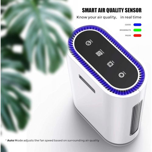  [아마존베스트]AZEUS 7-in-1 Air Purifier for Large Room to 540 ft² ,True HEPA Filter with UV-C Sanitizer and Smart Sensor, Eliminates Germs, Filters Allergies, Pollen, Smoke, Dust Pet Dander, Mol