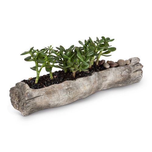  Abbott Collection Grey Ceramic Medium Long Slim Log Planter