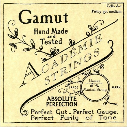  Academie Cello d-2 Pistoy Gut Medium Gauge