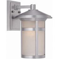 Acclaim 39102BS Phoenix Collection 1-Light Wall Mount Outdoor Light Fixture, Brushed Silver