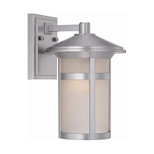  Acclaim 39102BS Phoenix Collection 1-Light Wall Mount Outdoor Light Fixture, Brushed Silver
