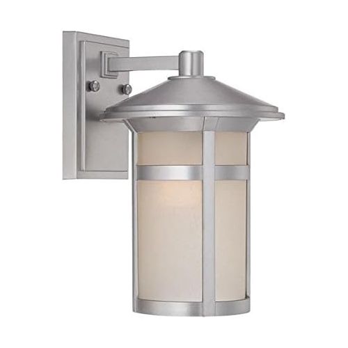  Acclaim 39102BS Phoenix Collection 1-Light Wall Mount Outdoor Light Fixture, Brushed Silver