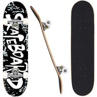 Aceshin Skateboard, 31 x 8 Complete PRO Skateboard, 9 Layer Canadian Maple Wood Double Kick Tricks Skate Board Concave Design for Beginner,Gift for Kids Boys Girls Youths