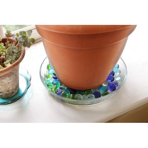  [아마존베스트]Achla Designs 8 3/4-in Glass Plate, Plant Tray Terrarium Saucer