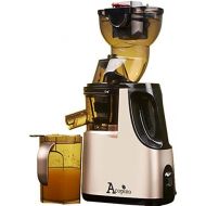 Acopino 361 Delicato Slow Juicer Kaltpress-Entsafter mit Press-Schnecken-Technik fuer ganze Fruechte, champagner