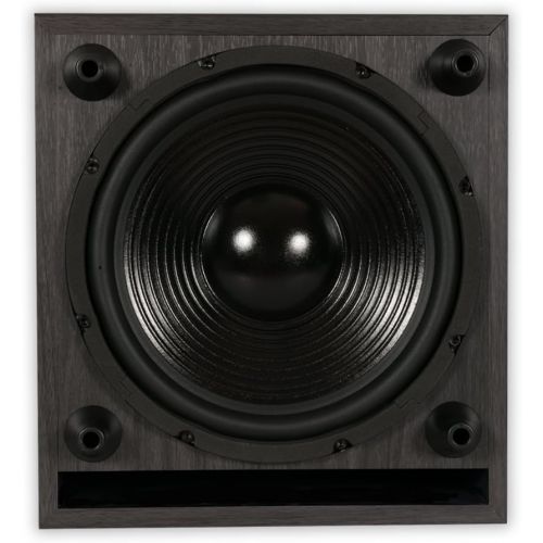  [아마존베스트]Acoustic Audio by Goldwood Acoustic Audio PSW-10 400 Watt 10-Inch Down Firing Powered Subwoofer (Black)