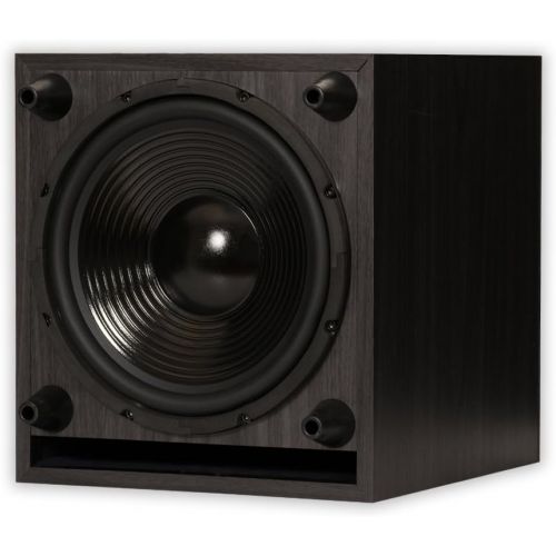  [아마존베스트]Acoustic Audio by Goldwood Acoustic Audio PSW-10 400 Watt 10-Inch Down Firing Powered Subwoofer (Black)