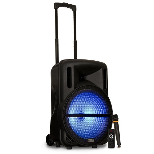  Acoustic Audio by Goldwood Powered Speaker Cabinet, Battery 15 Bluetooth LED Display and Wireless Mic (PRTY152)