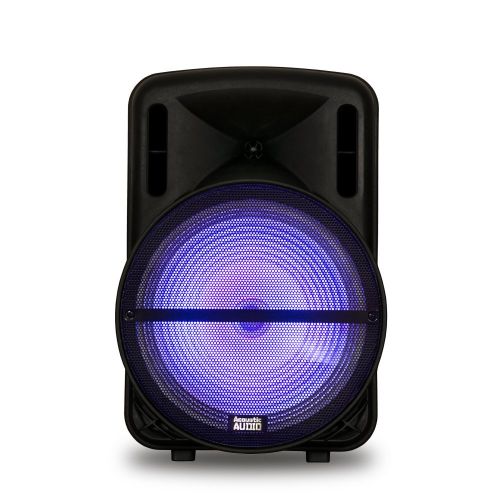  Acoustic Audio by Goldwood Powered Speaker Cabinet, Battery 15 Bluetooth LED Display and Wireless Mic (PRTY152)