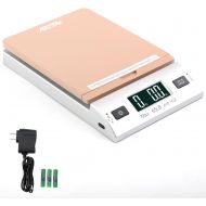 [아마존베스트]Acteck A-CK65GS 65LBx0.1OZ Digital Shipping Postal Scale with Batteries and AC Adapter, Gold Silver