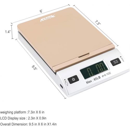  [아마존베스트]Acteck A-CK65GS 65LBx0.1OZ Digital Shipping Postal Scale with Batteries and AC Adapter, Gold Silver