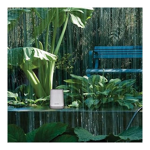  AcuRite Wireless Digital Rain Gauge with Self-Emptying Collector with Rainfall History, Alerts, and Current Date and Time (00899), Multicolor