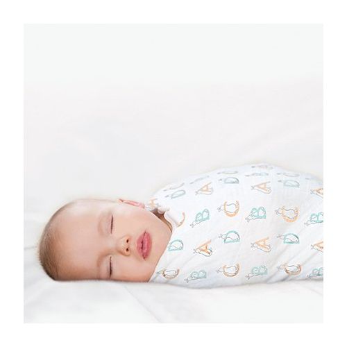  Aden+Anais Aden and Anais 2 Pk Swaddle Blanket-Pat the Bunny Storybook Print