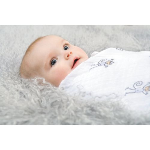  Aden + anais aden + anais Classic Swaddle Baby Blanket, 100% Cotton Muslin, Large 47 X 47 inch, 4 Pack, Rock...