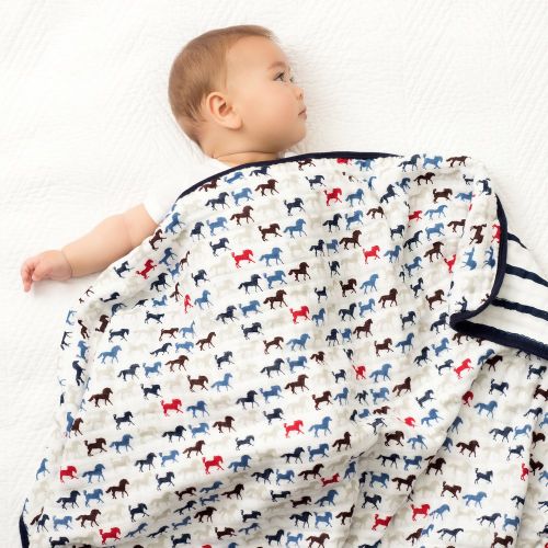  Aden + anais aden + anais Dream Blanket, 100% Cotton Muslin, 4 Layer lightweight and breathable, Large 47 X 47...