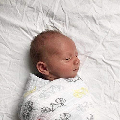  Aden + anais aden + anais Swaddle Blanket | Boutique Muslin Blankets for Girls & Boys | Baby Receiving Swaddles | Ideal Newborn & Infant Swaddling Set | Perfect Shower Gifts, 4 Pack, Leader of