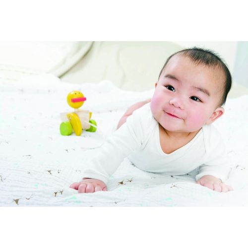  Aden + anais aden + anais Classic Muslin Swaddle Blanket, Sweet Heart (Discontinued by Manufacturer)