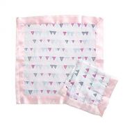 Aden by aden + anais Aden by Aden + Anais Security Blanket 2 Pack, Pretty Pink