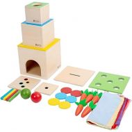 Adena Montessori 6 in 1 Play Kit Toy- 3 Nesting & Stacking Boxes, Object Permanence Drop Game, Coin Box, Carrot Harvest,Tissue Box,Sticks Matching Game for 6-12 Months 1 Year Old Toddlers 2 Year