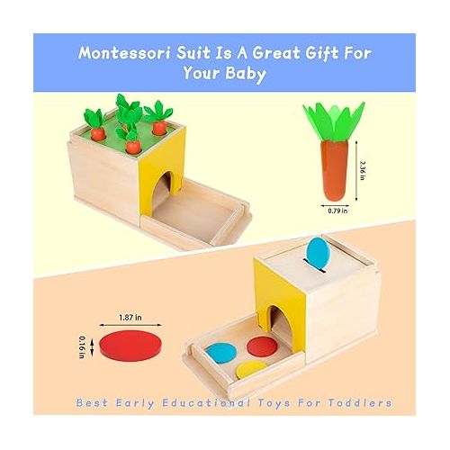  Adena Montessori 5 in 1 Object Permanence Box Toddler Play Kit Toys for 1 Year Old Babies 6-12 Months 2 Year Old