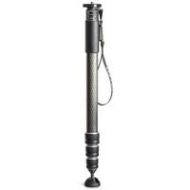 Gitzo GM4542 Series-4 Carbon eXact 4-Section Monopod GM4542 - Adorama