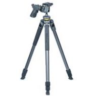 Adorama Vanguard ALTA PRO 2+ 263AT Aluminum Tripod with ALTA GH-100 Ball Head, Gray ALTA PRO 2+ 263AGH